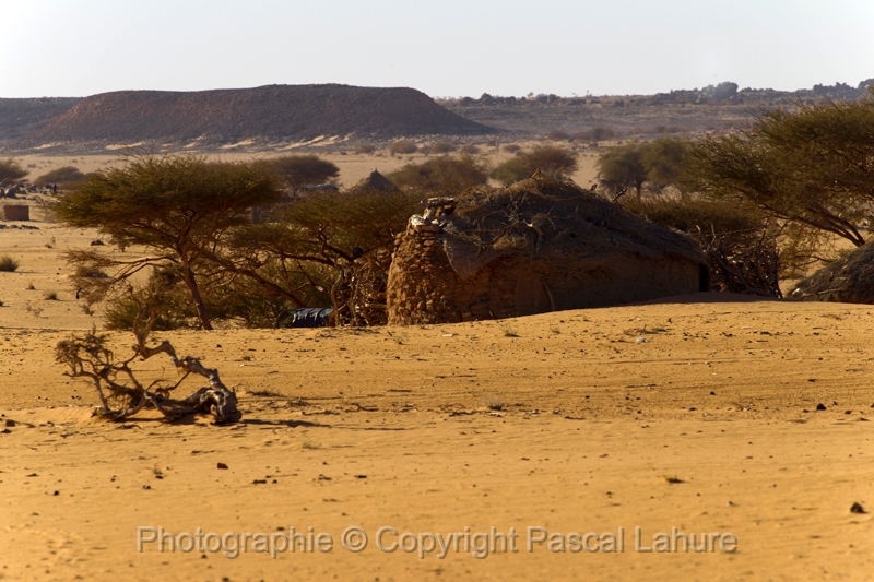 EJ9C3529_FICSA 2016_Pascal_Lahure.JPG